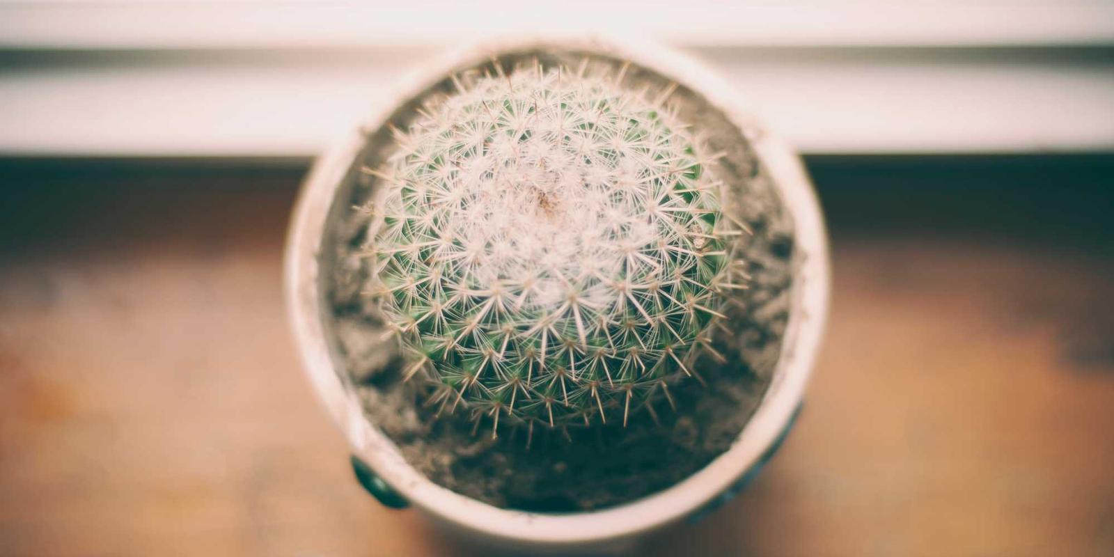 BONZI ACTIV SUNSCREEN - View 1